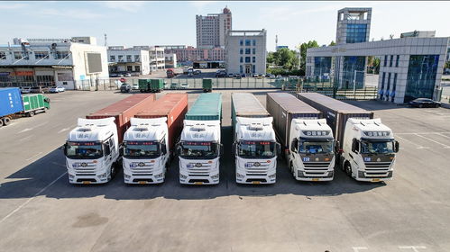 臨沂tir國際公路運輸線路累計發送貨物119車次