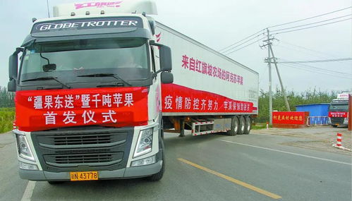 覆蓋 鐵公機 新疆全力保障物流運輸暢通