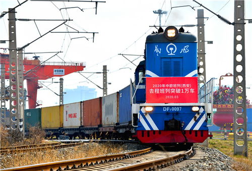 陜西自貿試驗區 從試驗田到歐亞各國 創新案例賦能 三個經濟